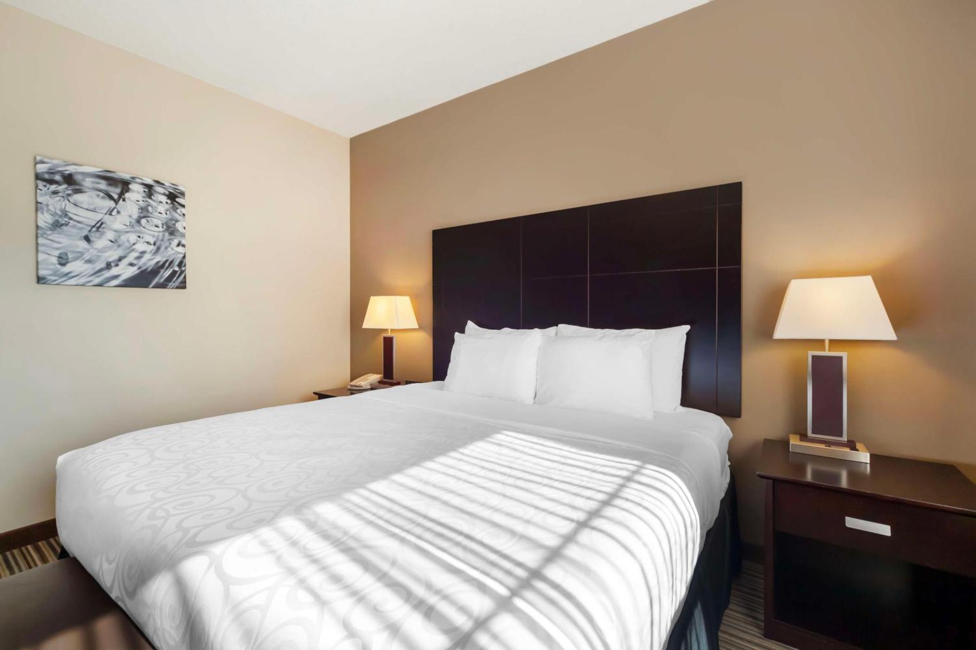 Best Western Plus Peace River Hotel & Suites Bagian luar foto
